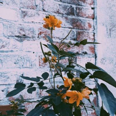 k8凯发国际官网入口